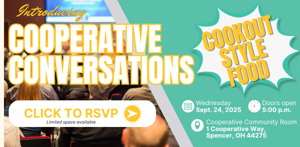 Cooperative Conversations