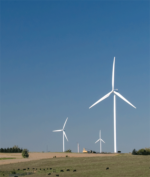 wind-farm