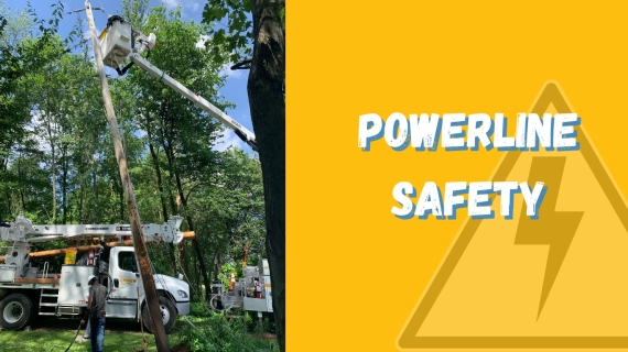 powerline